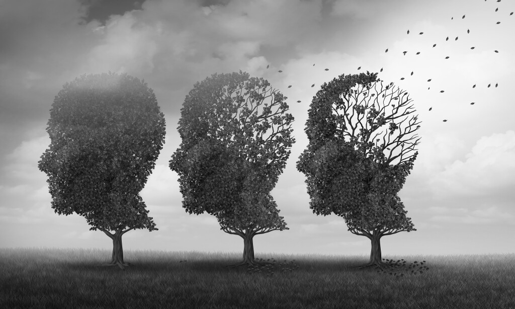Alzheimer’a karşı doğal çözüm!