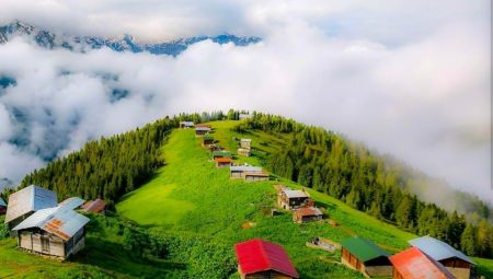 Rize günübirlik turlar